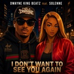 I Don't Want To See You Again (feat. Solenne) - Single