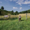 Appalachian Home (The Deluxe EP)