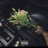 No Lo Niegues (feat. Espace Estudio Chile)