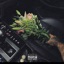 No Lo Niegues (feat. Espace Estudio Chile) - Single