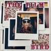 The Film