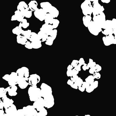 Cell Kall (feat. L0 PK) - Single