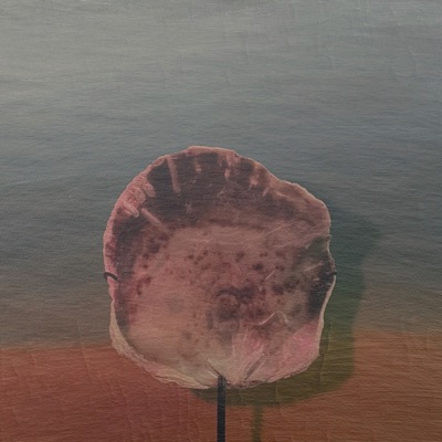 Entre Águas - Single