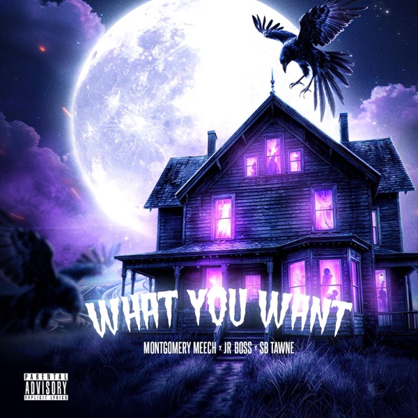 What you want (feat. SB Twane & Jr.Boss)