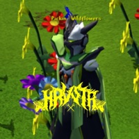 Picking Wildflowers - Single - xHRVSTRx