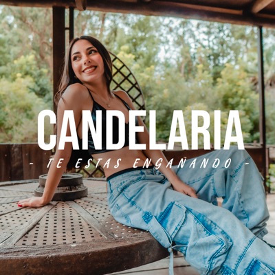 Te Estás Engañando - Single