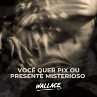 VOCÊ QUER PIX OU PRESENTE MISTERIOSO - Single - Wallace DJ