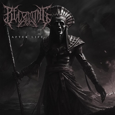 After Life (Instrumental) [Instrumental Version]