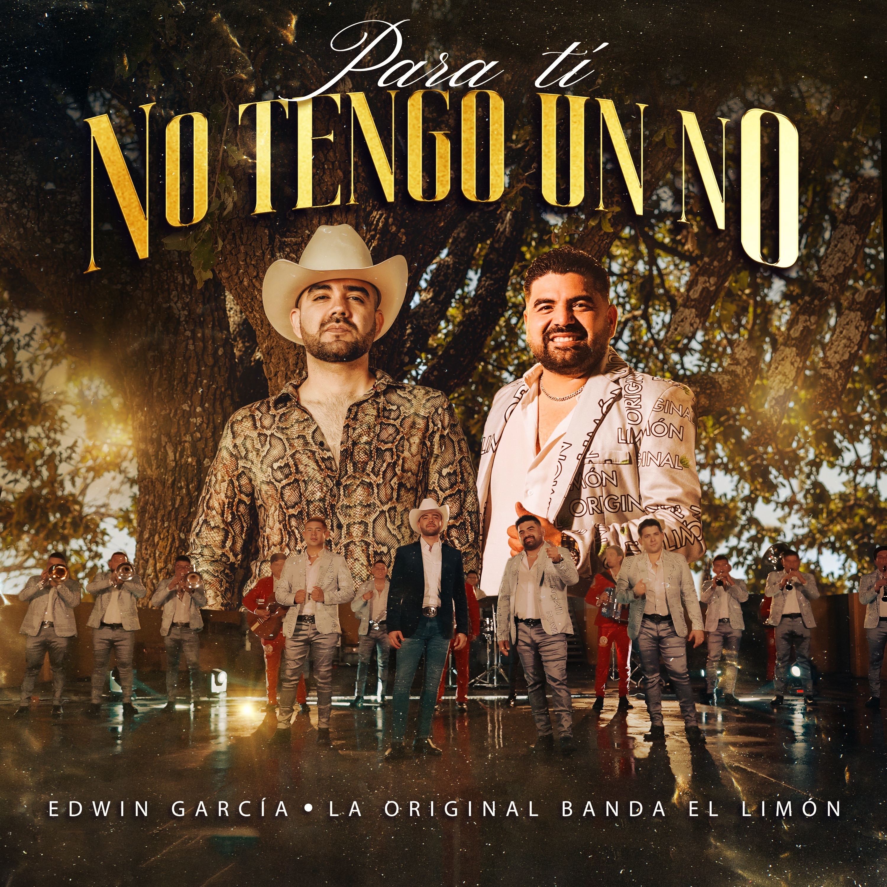 Para Ti No Tengo un No - Single