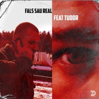 Fals sau Real (feat. Tudor) - Single - Johnny Dev