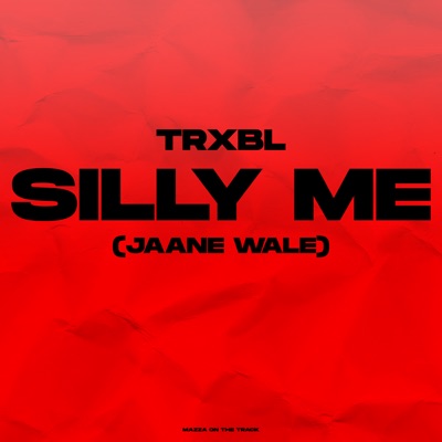 Silly Me (Jaane Wale) - Single
