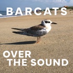 Bar Cats - The Illusionist