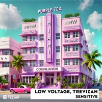 Sensitive - Single - Low Voltage & Trevizan