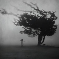 Empty Present - Single - Hopelexx