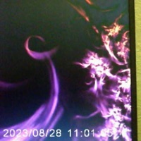 everything da same bro - Single - Xoly