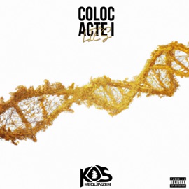 SUN (feat. Leï) KDS Requinzer