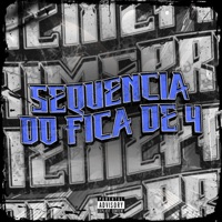 SEQUENCIA DO FICA DE 4 - Single - DJAY VMC, DJ FEH MIX & MC D'lara