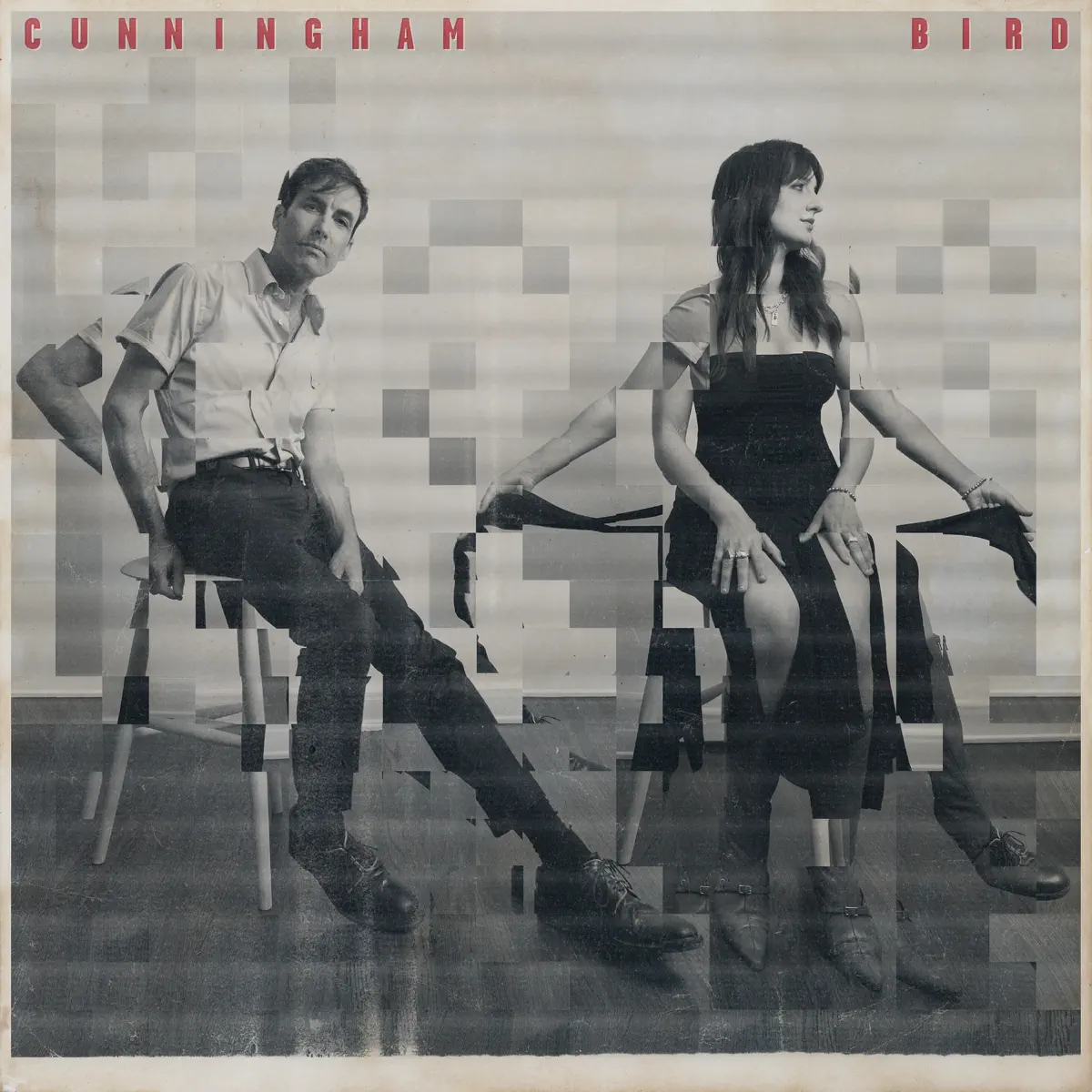 Andrew Bird - Cunningham Bird (2024) [iTunes Plus AAC M4A]-新房子