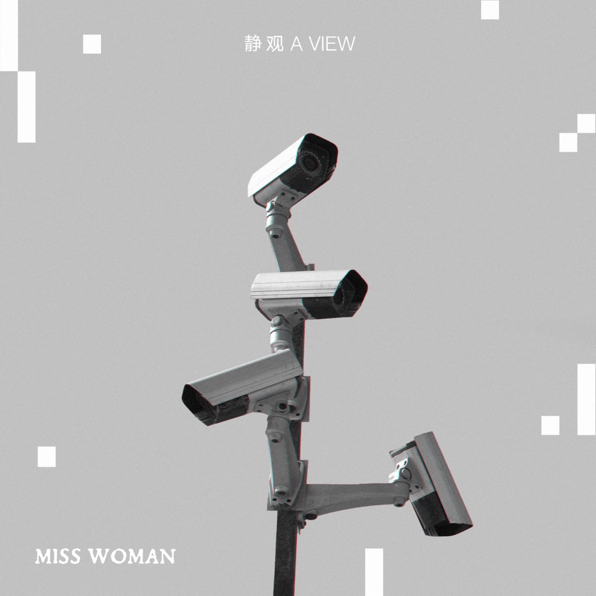 Miss Woman - 静观 A VIEW (2026) [iTunes Plus AAC M4A]-新房子