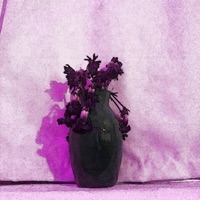 wilted - Single - Psychezelic