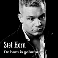 De Bom Is Gebarsten — Stef Horn