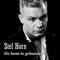 Stefan Horn - De Bom Is Gebarsten