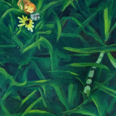 Sorry If I'm Distant - Single