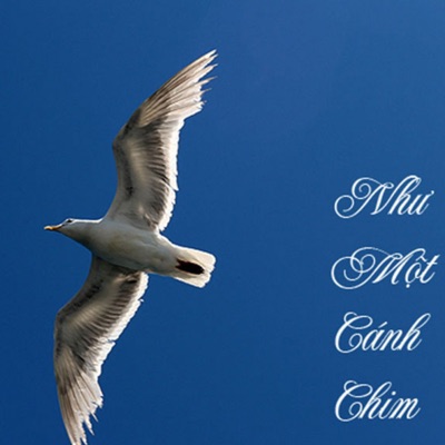 Như Một Cánh Chim