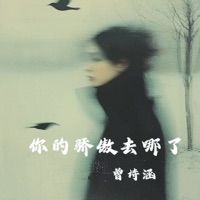 你的骄傲去哪了 (Dj阿雨版) - Single - 曾诗涵