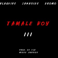Tamale Boy III (feat. JanaSide & Dromo) [JOINT] - Single - BlaqVibe