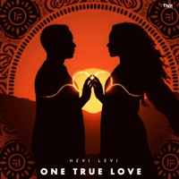 One True Love - Single - Hevi Levi