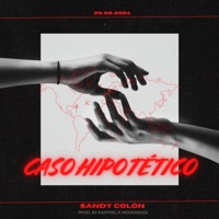 CASO HIPOTETICO - Single - Sandy Colon