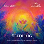 Seedling - Single