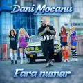Fara numar