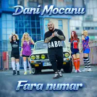 Fara numar