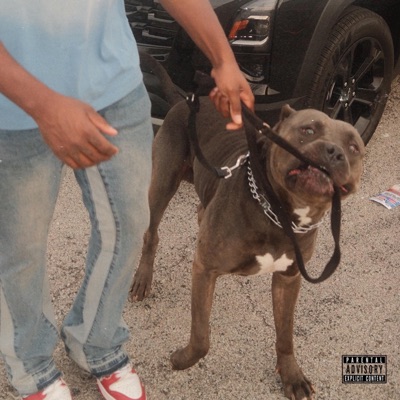 Big Dawg - Single