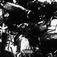 La Plaga - Single - Trifásiko & Biancucci