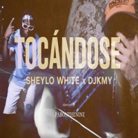 Tocandose (feat. sheylowhite) - Single - LAZRECORDS