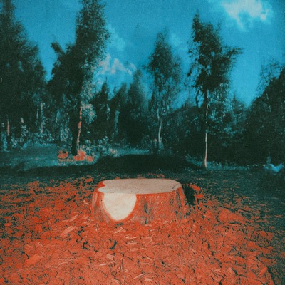 сменится круг - Single