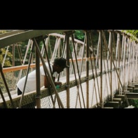 Different Time (feat. Zay Cartier) - Single - Double-A Wavegod