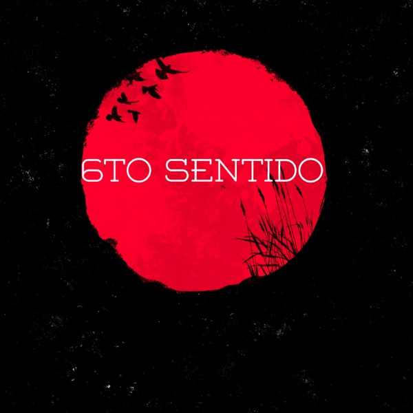 6To Sentido