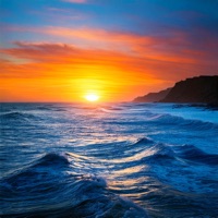 Wavy (feat. S. Beezy) - Single - TRnTH