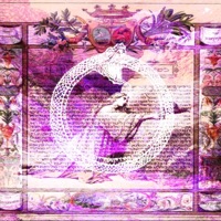 disloyal (feat. momo) - Single - certo1k