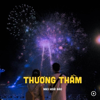 Thương Thầm (Lofi) - NB3 Hoài Bảo
