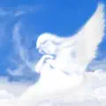 As She Dreams
