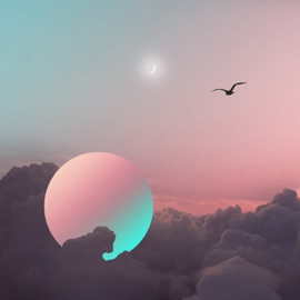 Coffee Camino Shierro