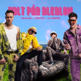 VOLT PÁR ALKALOM VALMAR, KKevin & L.L. Junior