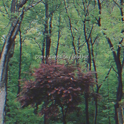 Dont Wanna Say Goodbye - Single