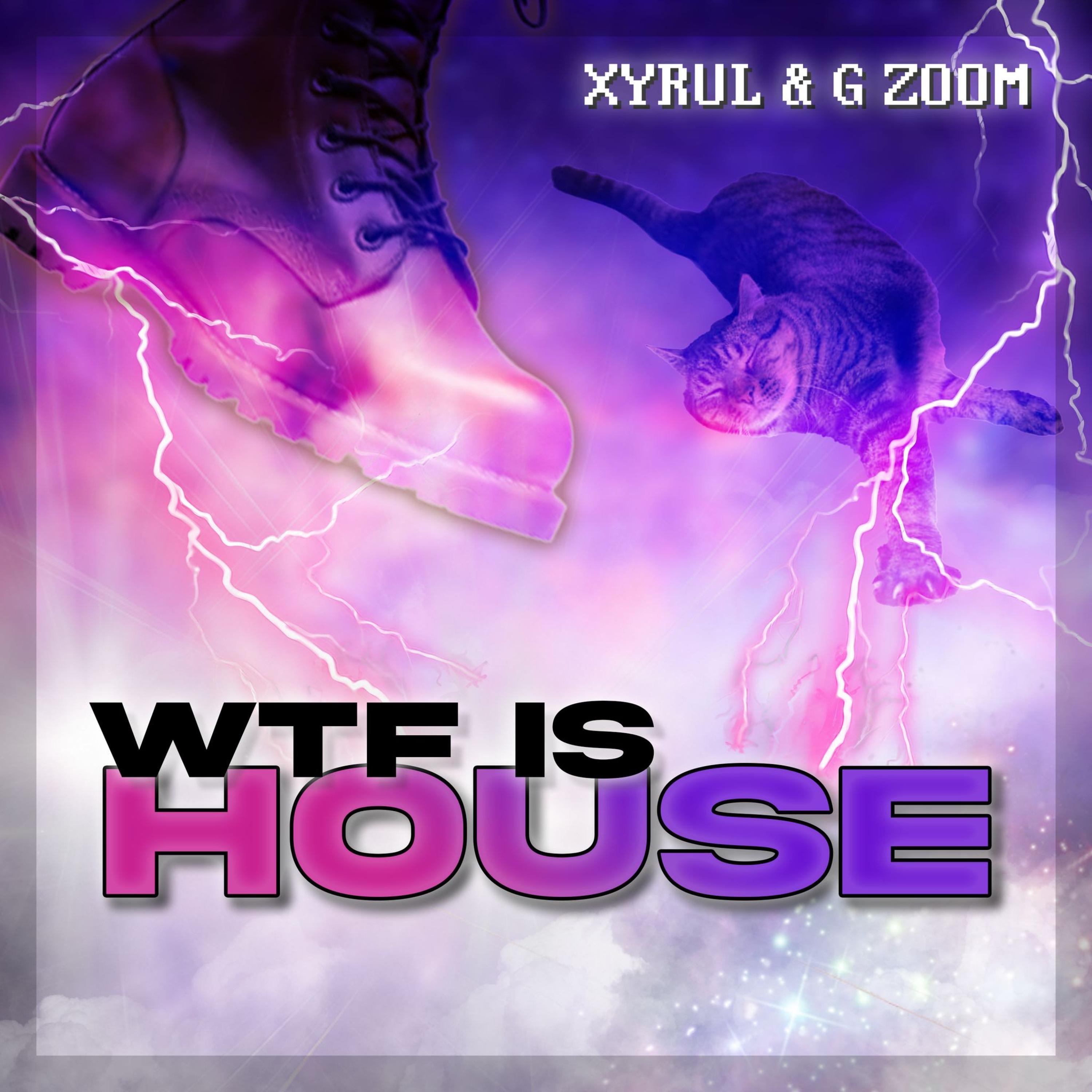 WTF is House - Single