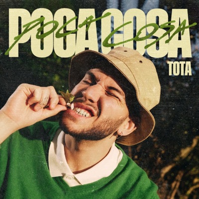 Poca Cosa (feat. LUCATO) - Single